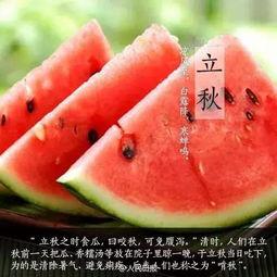 立秋以后吃瓜,秋日里的清凉美味之旅