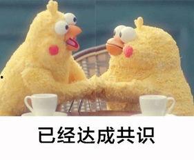 吃瓜小编来了,揭秘娱乐圈最新热点事件