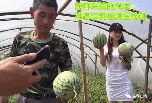 美国直播吃瓜,揭秘网络红人的狂欢盛宴