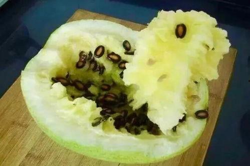 籽瓜怎么吃,解锁健康美味新选择