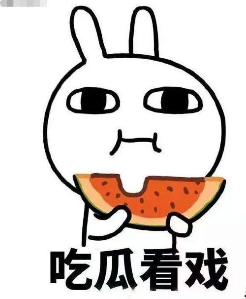 吃瓜专用配图