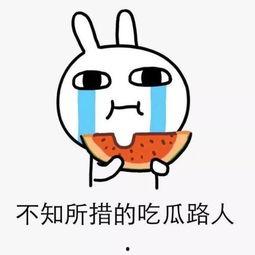 累了吃瓜的句子,疲惫之余的轻松时光