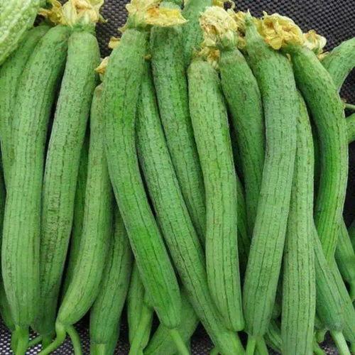 丝瓜和小瓜可以一起吃吗,丝瓜与小瓜的搭配食用指南