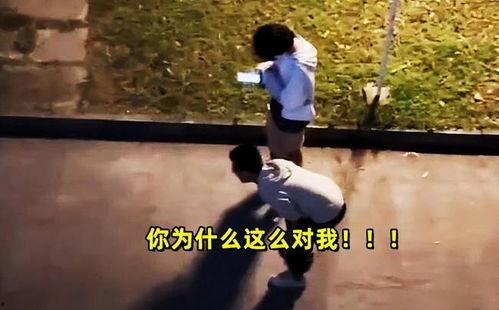 吃瓜别人谈恋爱