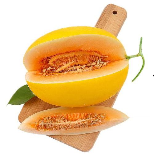 喝酒吃蜜瓜视频,夏日消暑新风尚