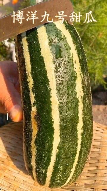 吃瓜就要有个吃瓜的,且吃且珍惜