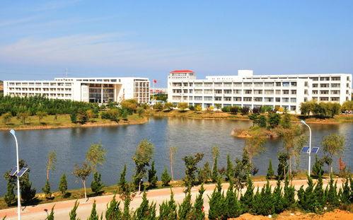 吃瓜网潍坊学院