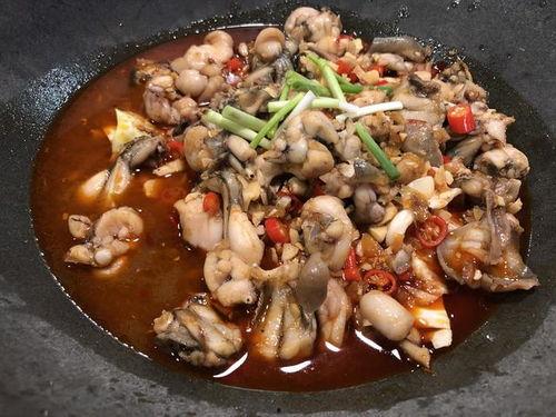 蛙蛙吃瓜现场,趣味横生的欢乐时光