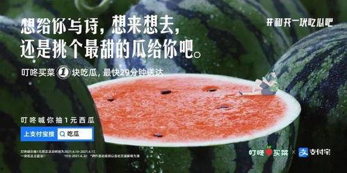 别吃瓜的文案,一场关于真相与舆论的深度探讨