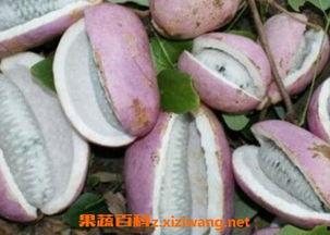 网购的八月瓜怎么吃