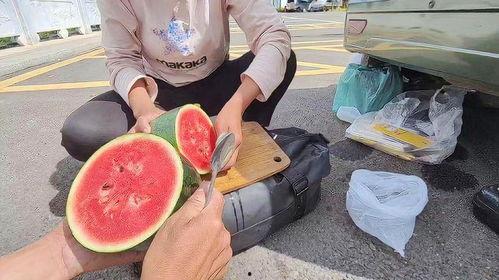 吃西藏瓜,探寻西藏瓜的独特魅力与神秘传说