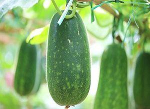 吃瓜不可错过 小号,吃瓜群众必看的幕后故事