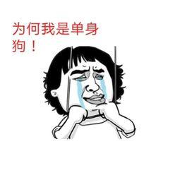 单身狗吃瓜日常,揭秘娱乐圈的甜蜜与苦涩