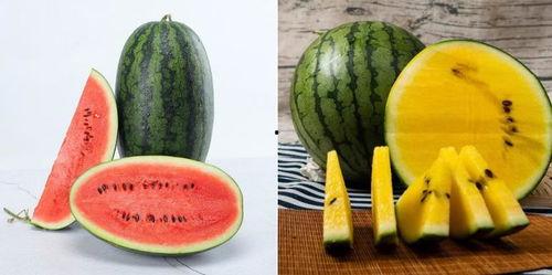 西瓜吃瓜是什么瓜