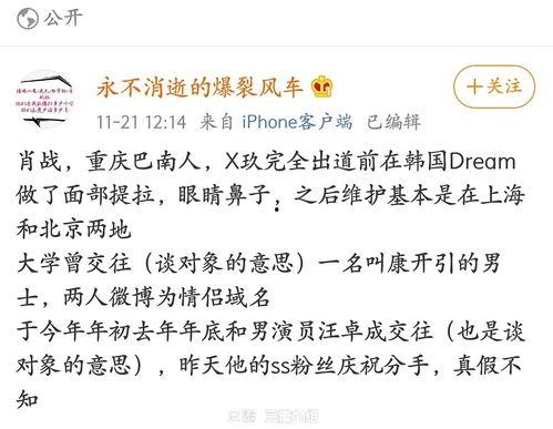 吃瓜xz,网络红人的崛起与争议