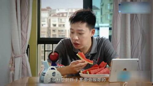 僵小鱼吃瓜全集,一场惊心动魄的奇幻冒险之旅