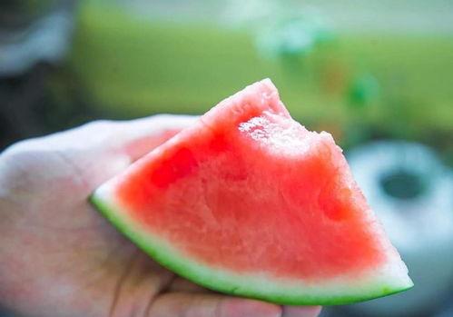 快乐夏天吃瓜,快乐吃瓜时光