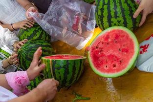 越南吃瓜的视频,一场视觉与味觉的“吃瓜”盛宴