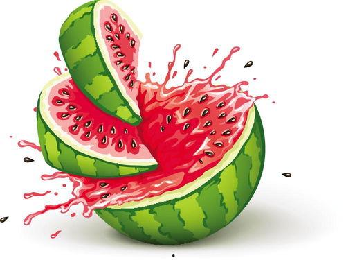 欢乐的吃瓜儿,品味生活百态