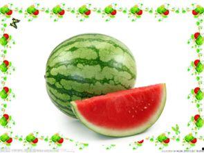 语文课吃瓜,语文课上的趣味吃瓜之旅