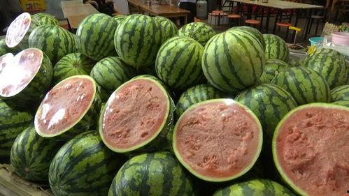 今年吃的几个瓜,笑料百出，泪点满满