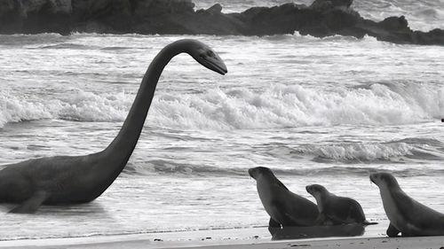 水怪吃瓜视频大全,揭秘网络热传吃瓜视频大全