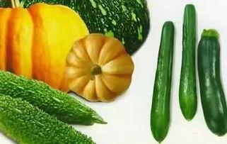 吃瓜还能吃自己的瓜,揭秘吃瓜者与自食其瓜的奥秘