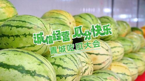 最新吃瓜大会,盘点娱乐圈最新热点事件