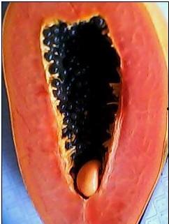 内部vip吃瓜,吃瓜背后的真相与内幕