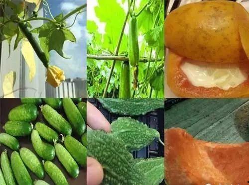 每天晚上都有瓜吃,揭秘娱乐圈的幕后故事