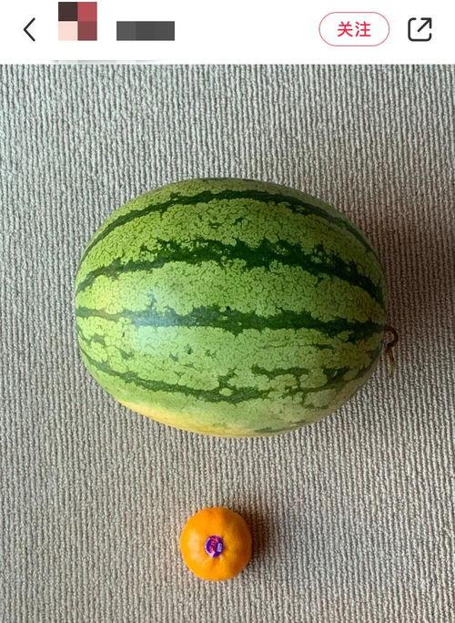 韩国媒体吃瓜,神秘事件背后真相揭秘