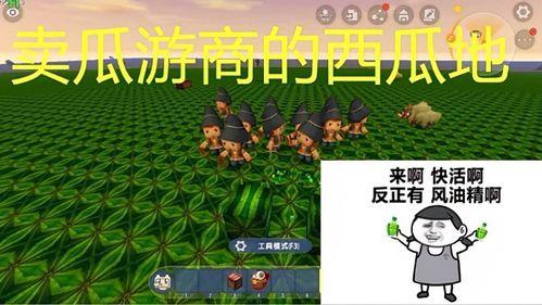 梦见吃黑心瓜,黑心瓜的寓意与启示