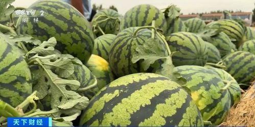 元禄现场吃瓜  第2张