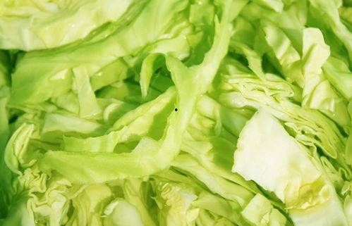 泉州理工吃瓜,一场“吃瓜”事件背后的校园生活百态  第3张