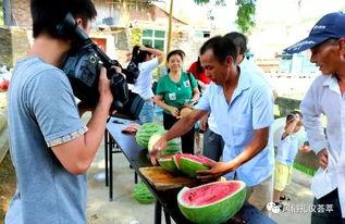 苞米地里吃瓜群众,揭秘农村生活百态  第2张