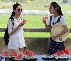 苞米地里吃瓜群众,揭秘农村生活百态  第3张