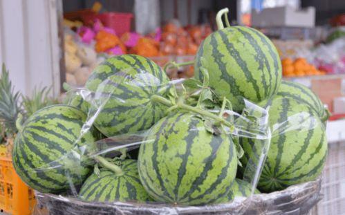 吃瓜碎冰乐,吃瓜碎冰乐，尽享清凉一夏  第2张