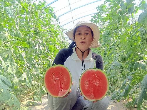 吃小吊瓜西瓜  第2张