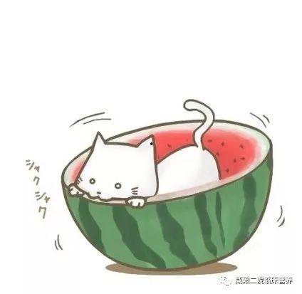 qq头像吃瓜动漫,揭秘二次元世界的趣味瞬间  第2张