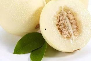 白玉瓜甜瓜怎么吃 第2张 白玉瓜甜瓜怎么吃 第2张