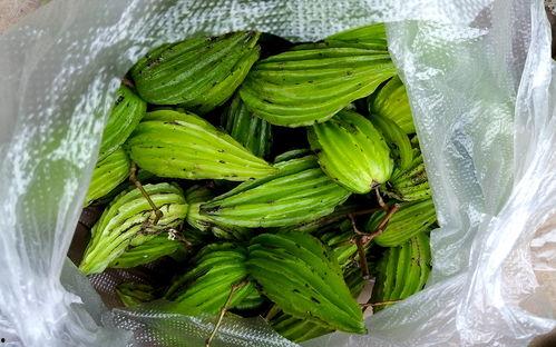 大妈云南吃瓜 第2张 大妈云南吃瓜 第2张