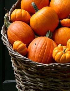 吃瓜不能停婚礼,一场别开生面的欢乐盛宴 第3张 吃瓜不能停婚礼,一场别开生面的欢乐盛宴 第3张