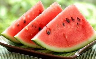 吃瓜皮的吃瓜人,一场吃瓜者的成长之旅