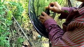 岩弟吃瓜,揭秘娱乐圈背后的那些事儿  第2张