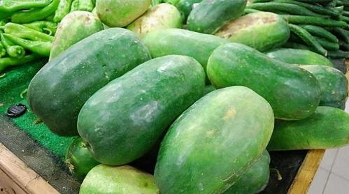 吃冬瓜吃蜜瓜童谣,吃冬瓜吃蜜瓜