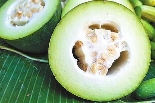 吃冬瓜吃蜜瓜童谣,吃冬瓜吃蜜瓜  第3张